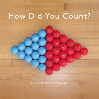 Cover of How Did You Count?